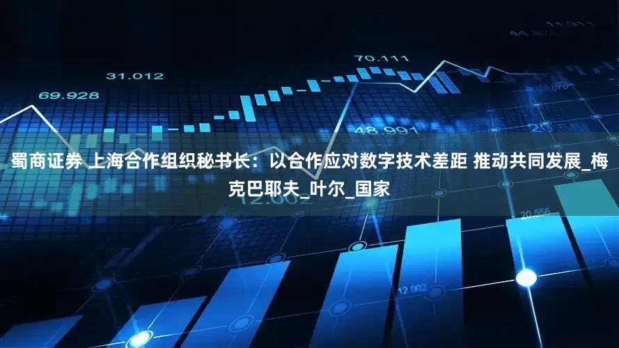 蜀商证券 上海合作组织秘书长：以合作应对数字技术差距 推动共同发展_梅克巴耶夫_叶尔_国家