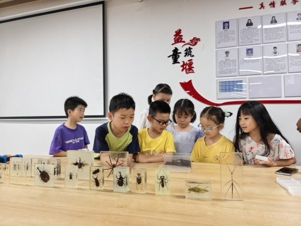 掌柜配资 我爱我家 我爱合肥 礼让文明—多元亲子活动绘就家庭教育新图景_大皖新闻 | 安徽网