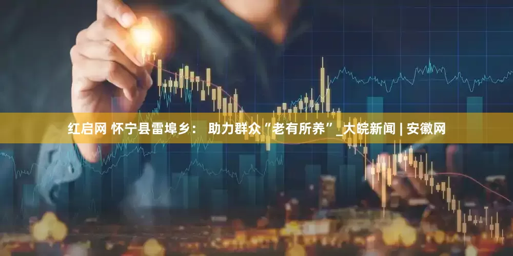 红启网 怀宁县雷埠乡： 助力群众“老有所养”_大皖新闻 | 安徽网