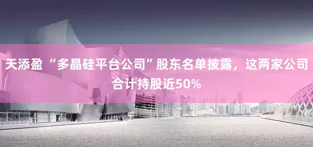 天添盈 “多晶硅平台公司”股东名单披露，这两家公司合计持股近50%